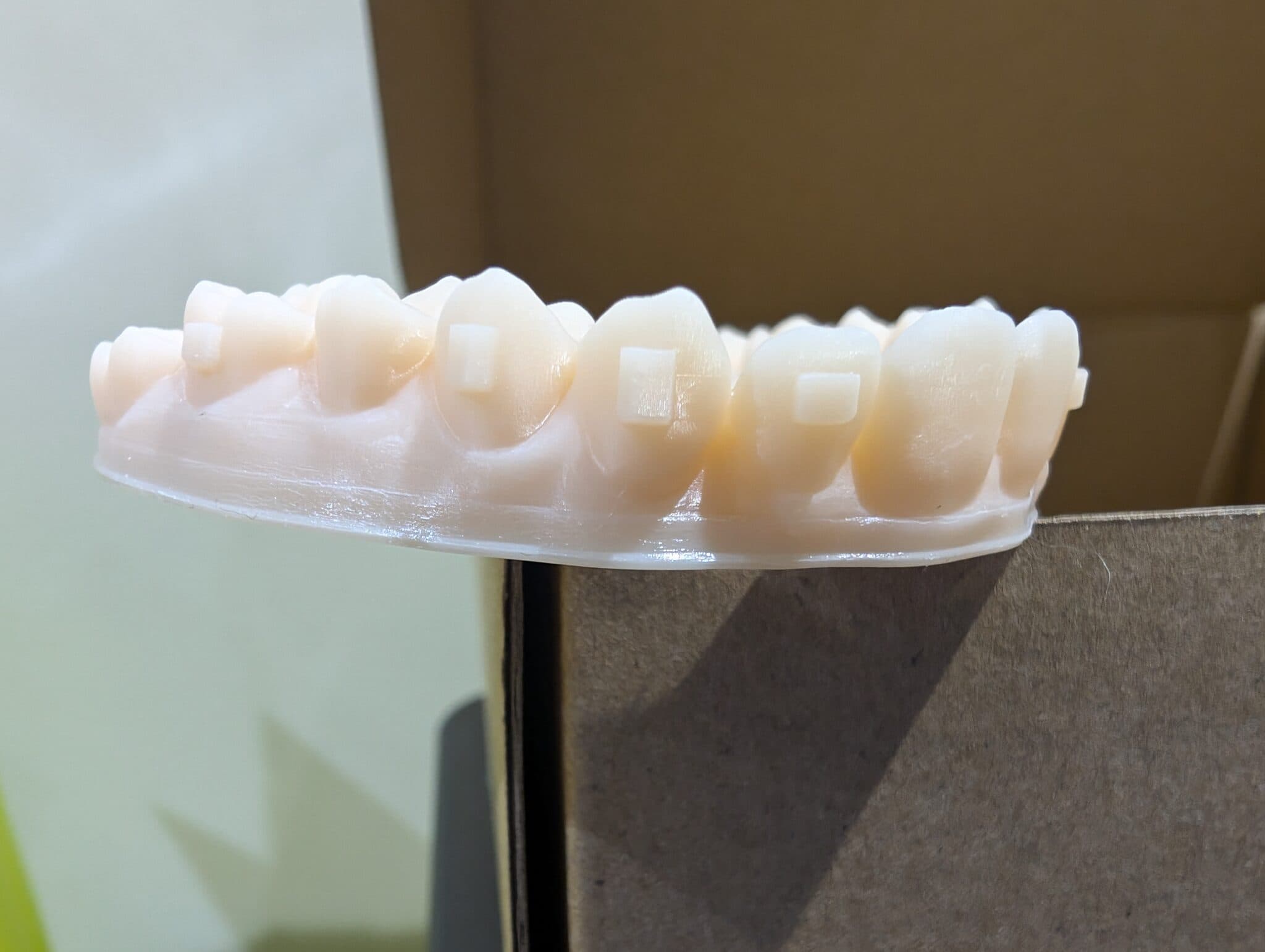 Figure 6: You can see the unusual band at the bottom 2mm of this model, printed out of Voco Model Beige 2.0