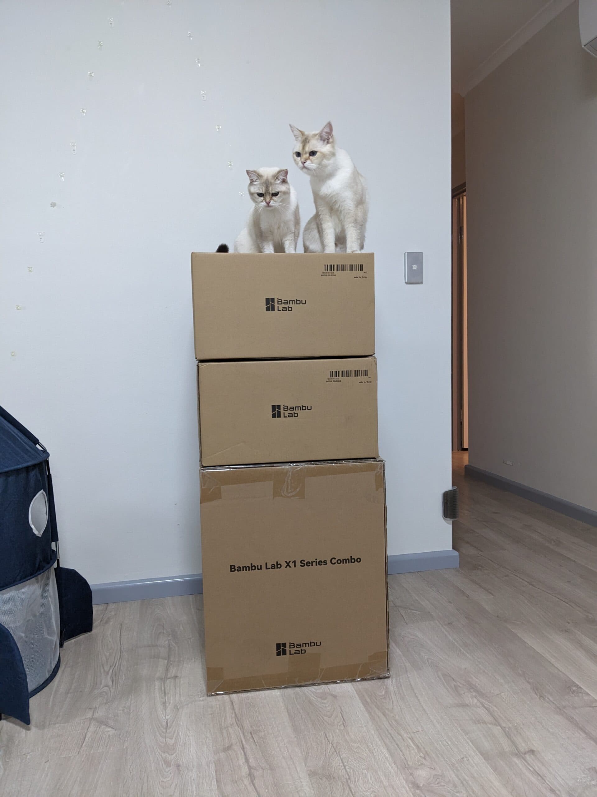 Figure 1: The Bambu Lab X1-Carbon AMS Combo packaging is feline-approved