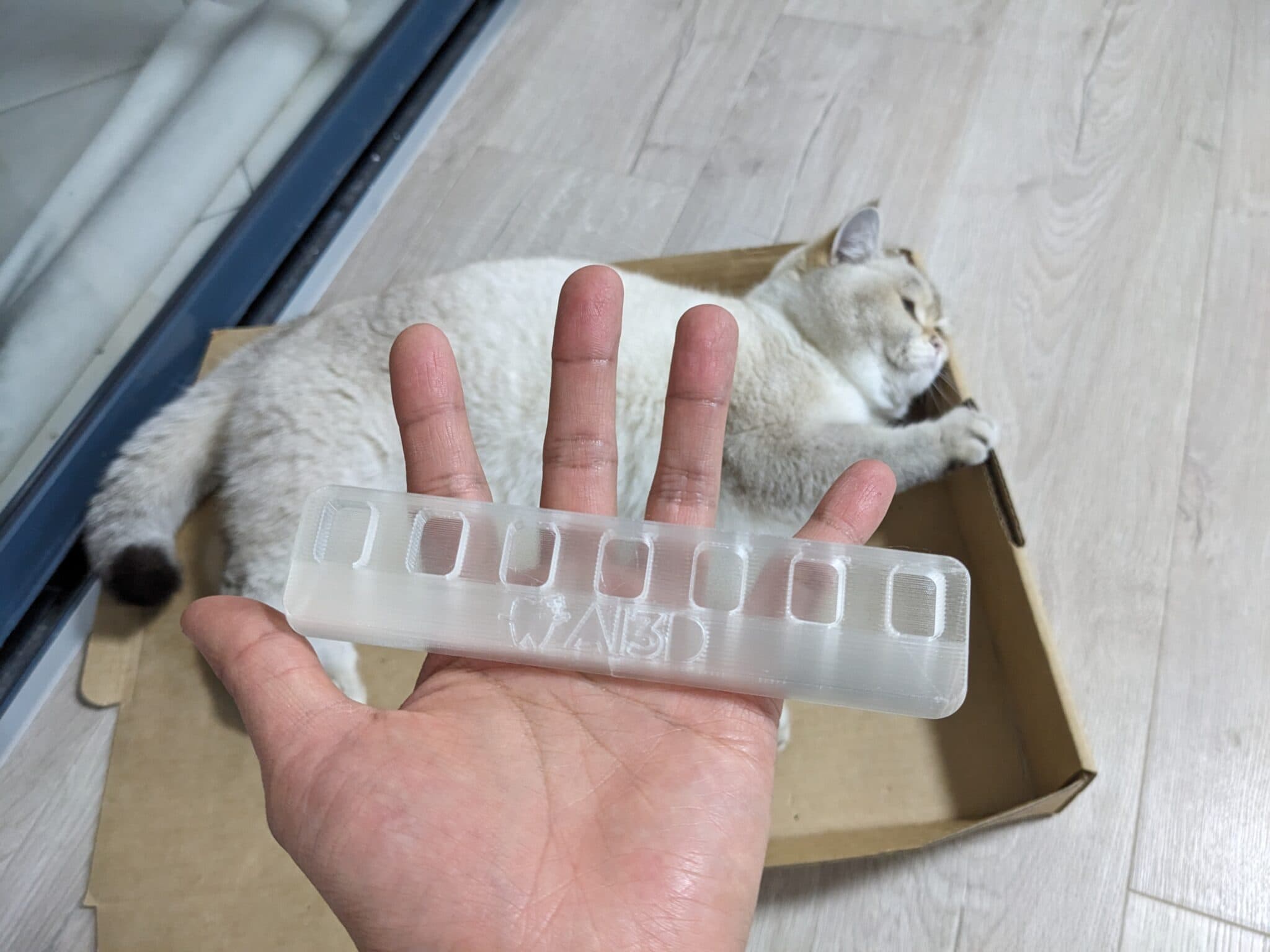 Figure 5: Clear PETG orthodontic bracket holder