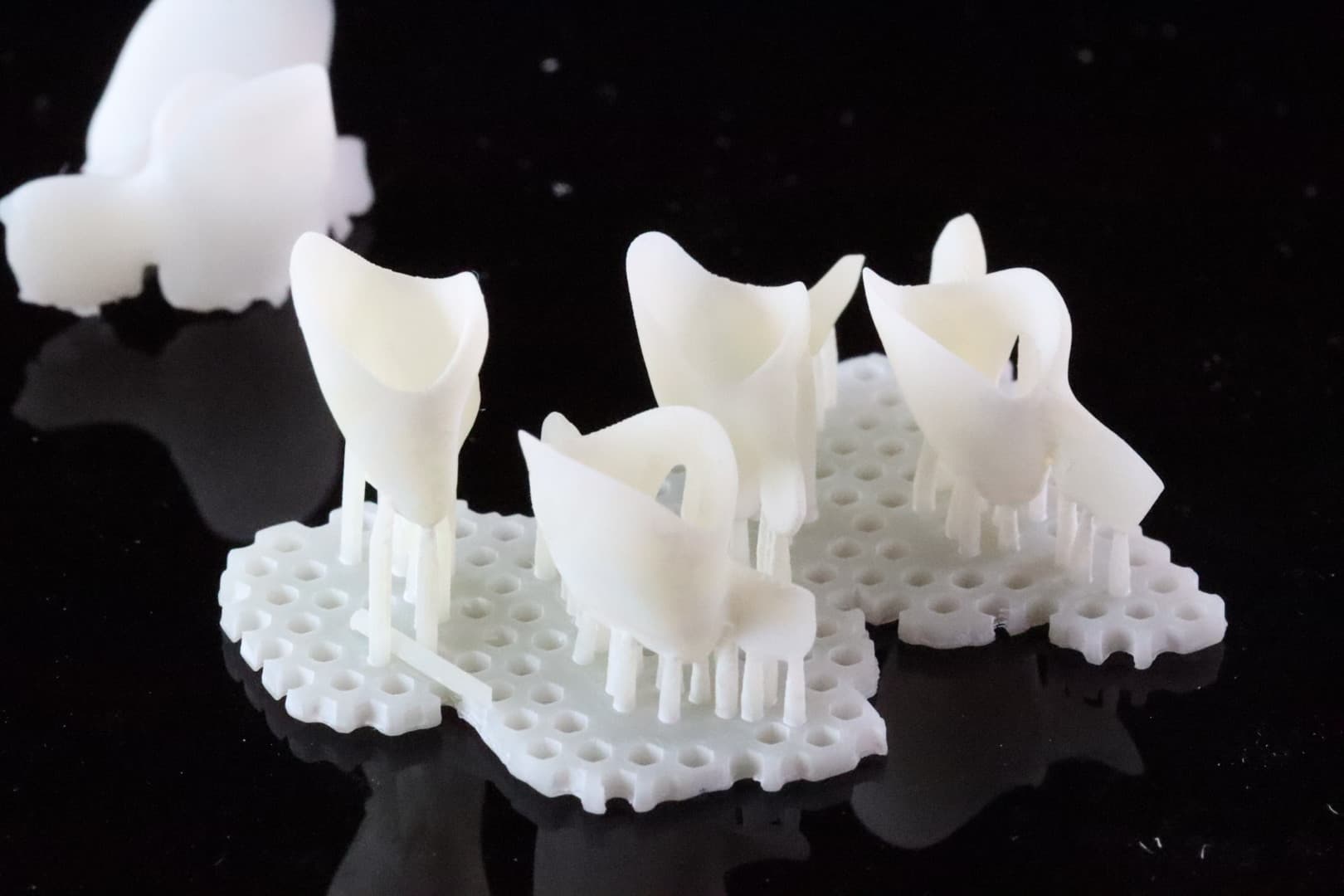 Figure 6: Printed Crowntec eggshell temporaries – honestly fantastic results that IMHO are better than some of the more expensive dental DLP 3D printers in the market
