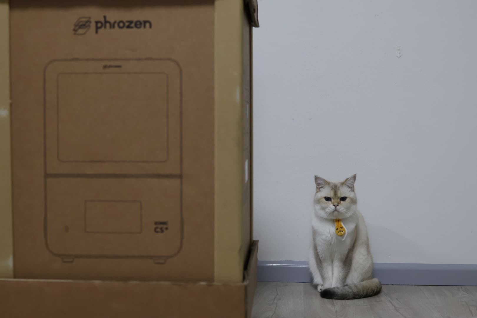Figure 1: Business Cat means serious business. So does Phrozen with the CS+