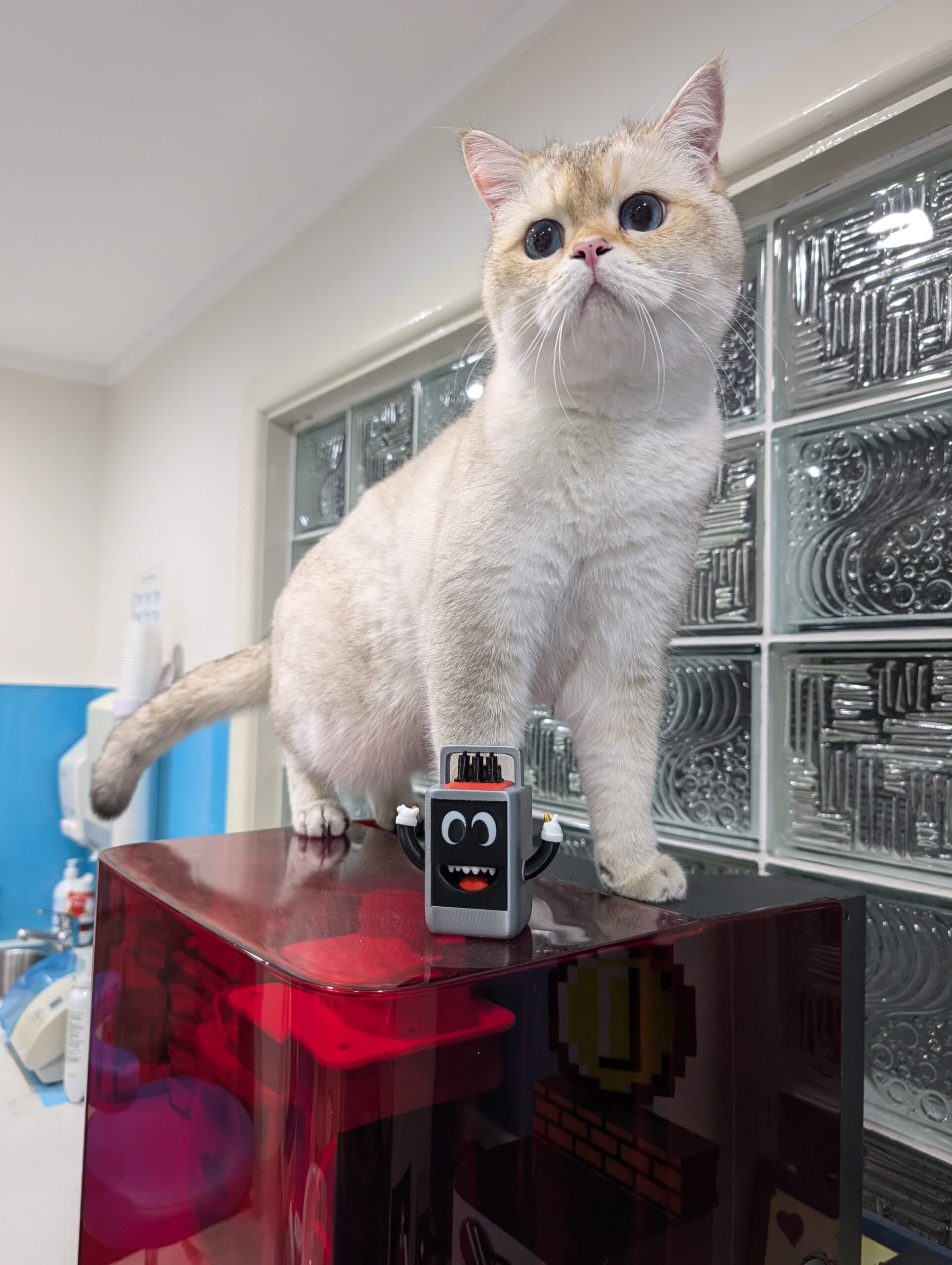 Figure 1: The Sprintray Pro55S – cat not included