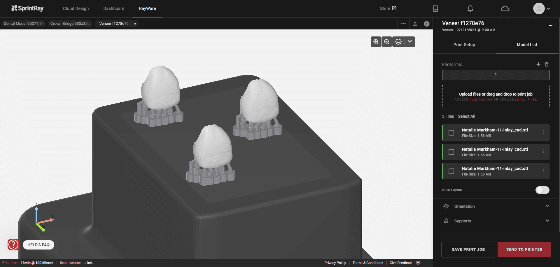 Figure 4: RayWare Cloud – easy when it works. Annoying when it doesn’t.