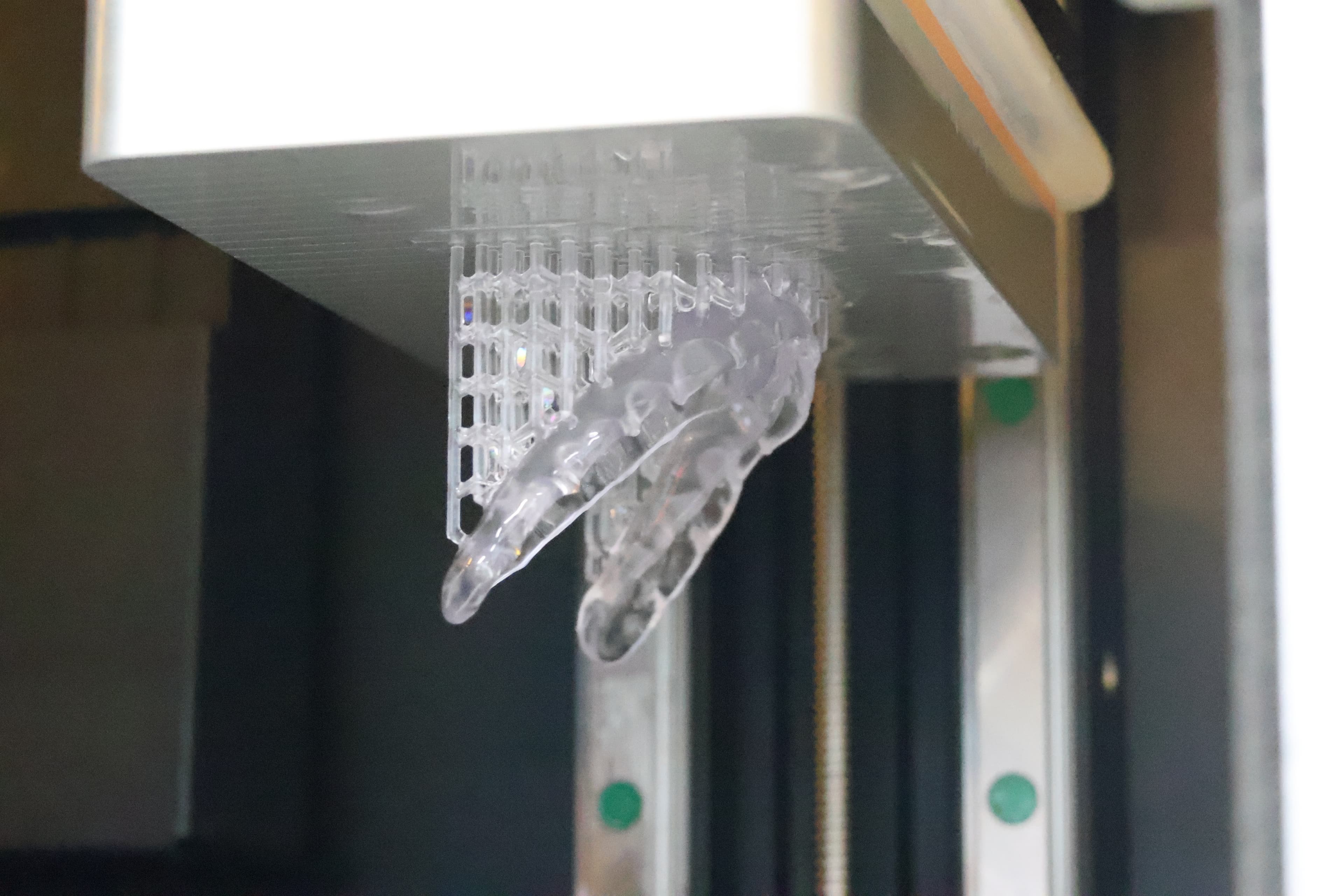 Printed nightguard on the Zylo3D